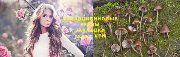 герыч Абинск