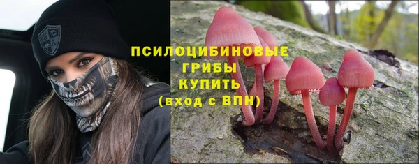 марихуана Абаза