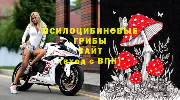 марихуана Абаза