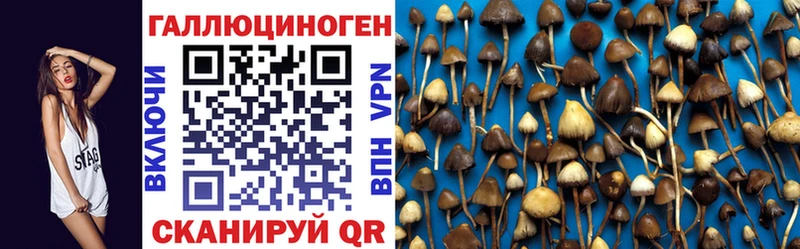 Галлюциногенные грибы Magic Shrooms  MEGA зеркало  Красноперекопск  дарнет шоп 